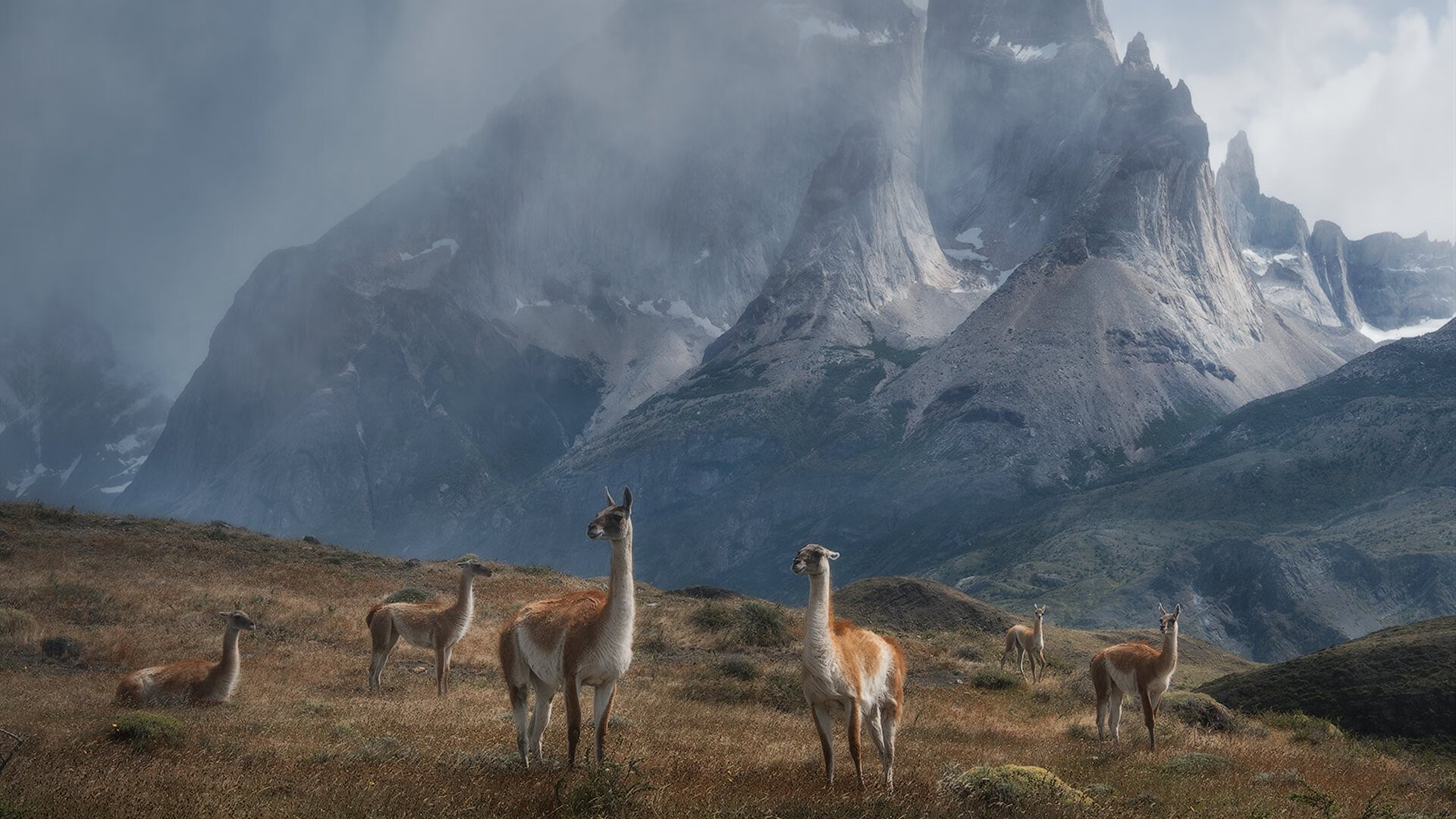 开云sport-卡马文加征服左路，法国对突尼斯之战的無争议全场最佳