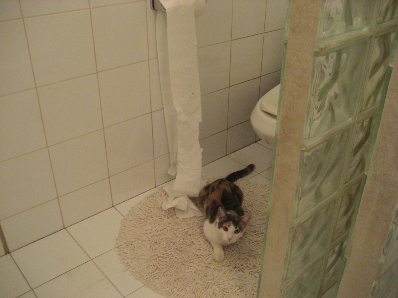 跨联赛奇迹夜,伦纳德梦幻爆发,北京队东方战术完美压制老鹰