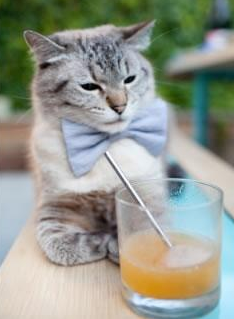 从李刚仁到大场面革命,沙特如何用不对称战术掀翻奥地利足球教科书