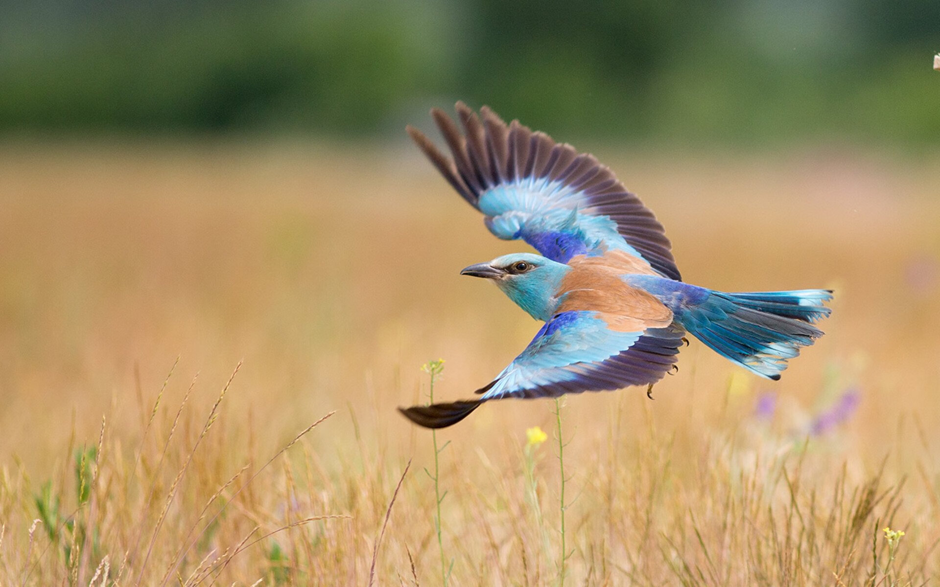 开云体育登录-个体光芒与整体铁壁，萨拉赫与阿根廷战术的足球哲学对比