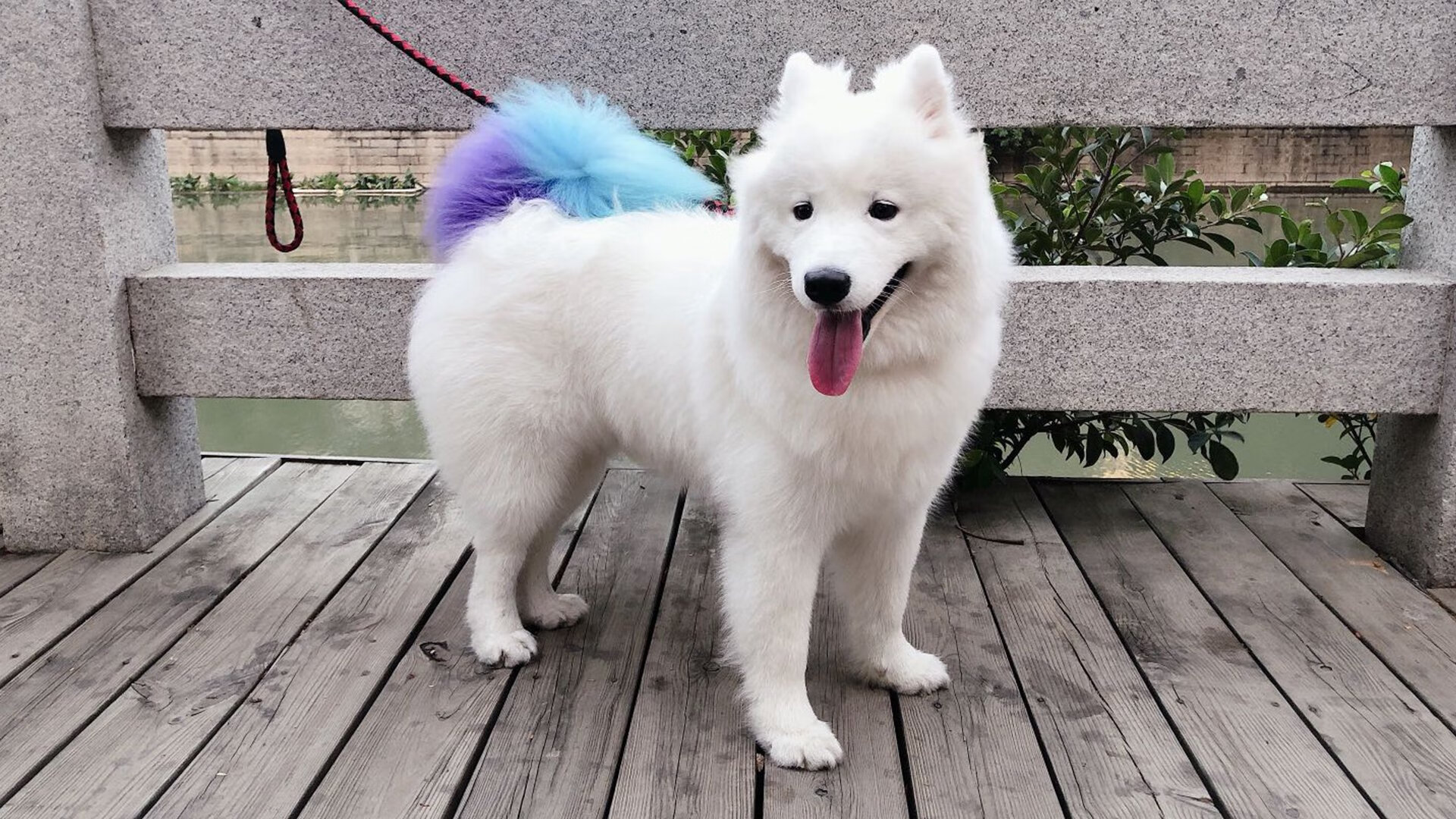 皇马爆冷陨落，当孔德化身前场利刃，足球的战术边疆被谁重绘？