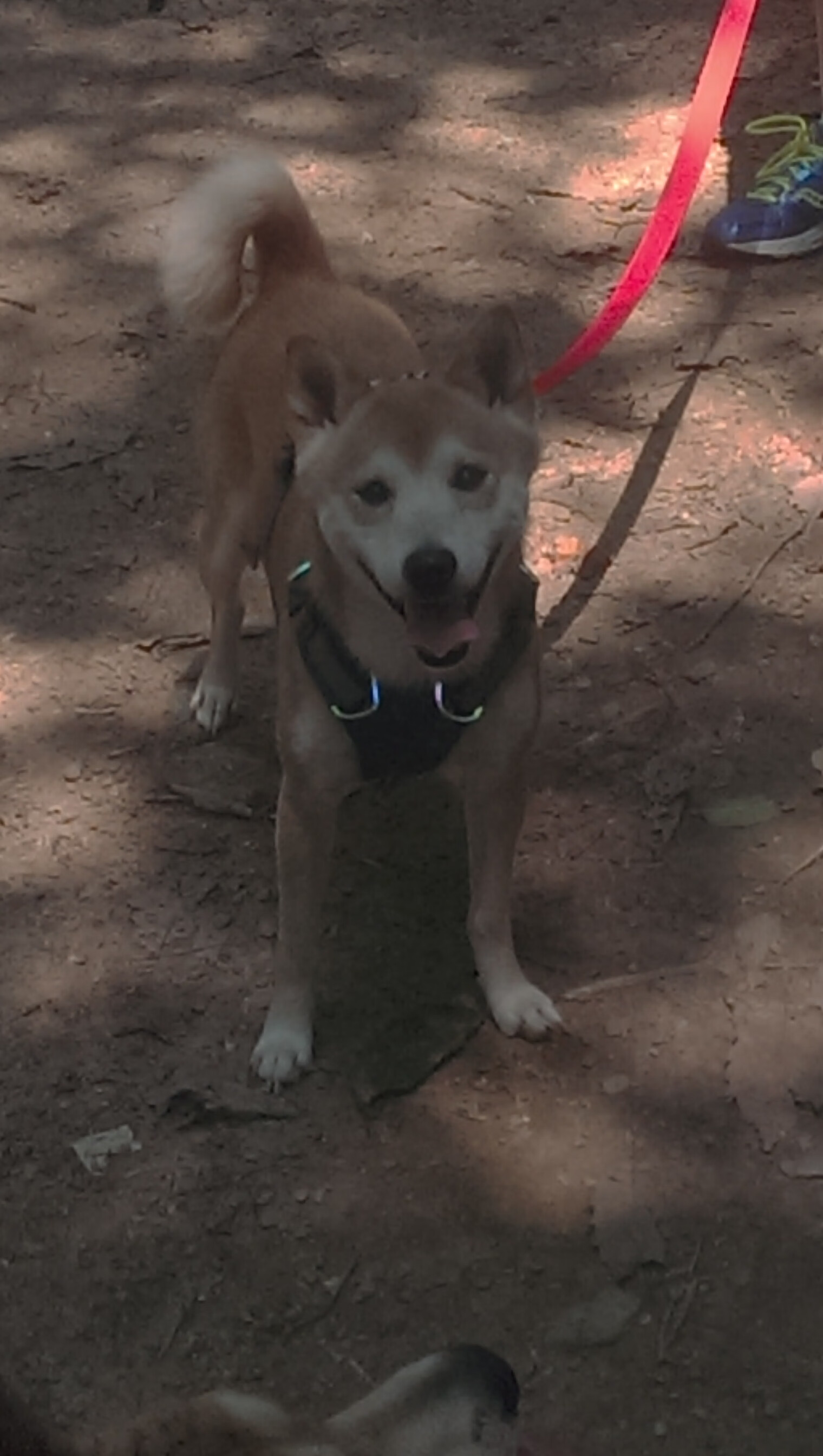开云体育在线-两个布克的重逢，宿敌倒下之夜，关键先生用三分雨浇灭十年心结