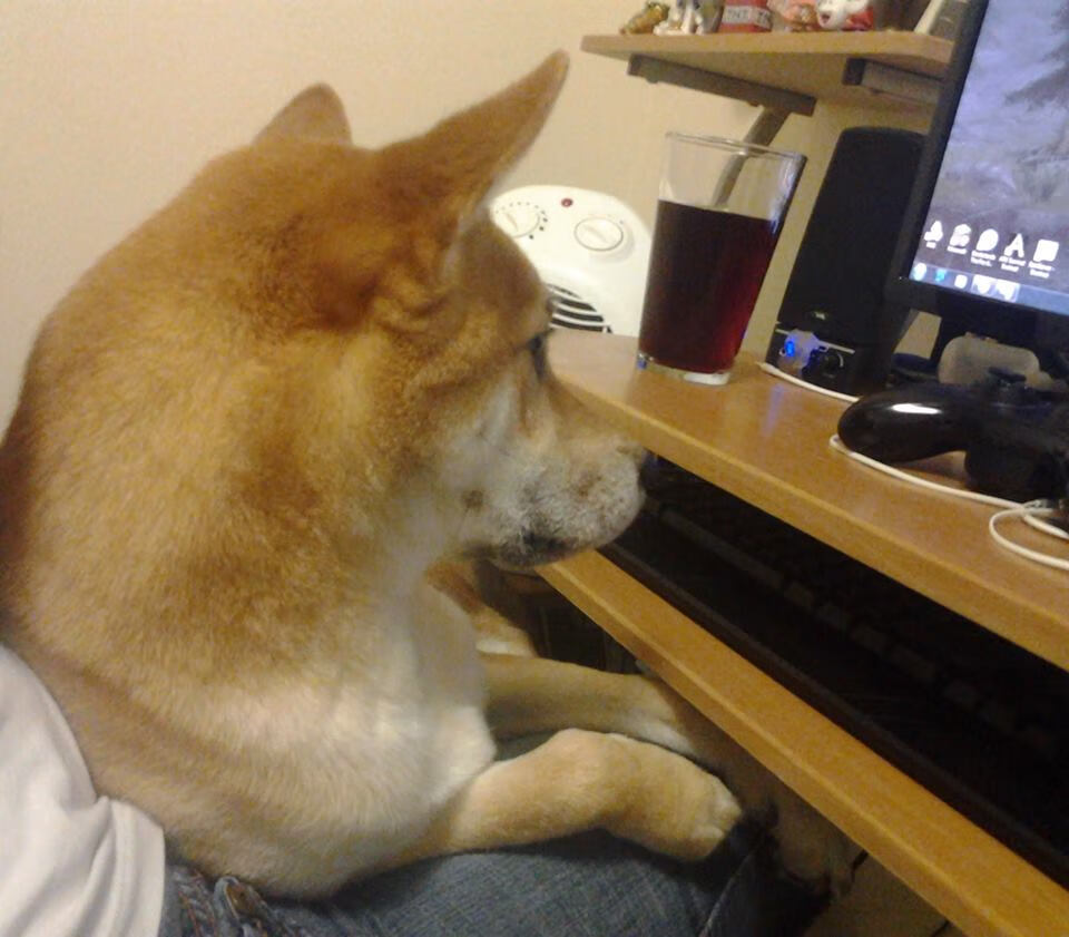 绿茵场上的独裁者，维尼修斯如何用双脚撰写新王权