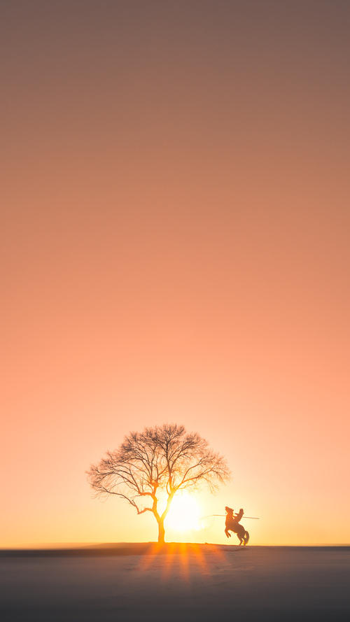 流星与恒星，当奇迹单节绽放，底蕴在压力下闪耀