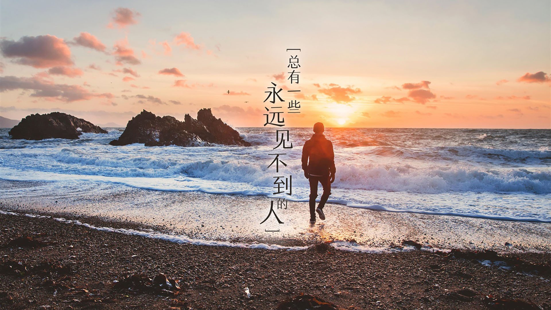 魔法时刻与华丽终章，哈利伯顿导演奇才逆袭，黄蜂断电溃败