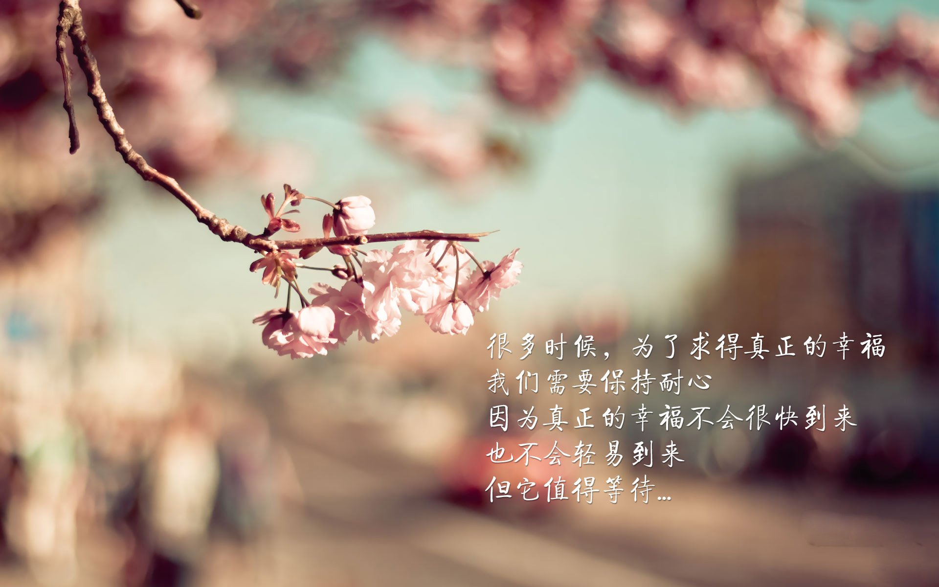 火力全开与铁壁封锁，范弗利特创造历史，绿军防守窒息森林狼