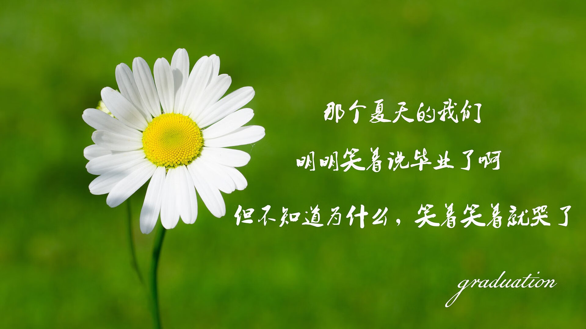 开云体育中国-一个人的胜利，与十一个人的荣耀，费利克斯的反戈一击与潘帕斯雄鹰的涅槃