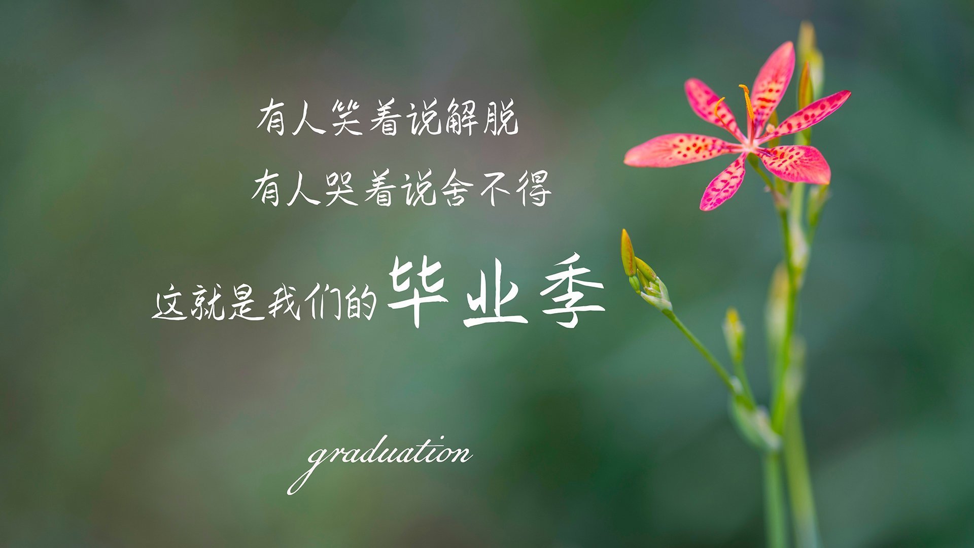 开云体育APP下载-G组迷雾重重，当奥地利战车碾过北欧童话，孙兴慜以孤勇之光撕裂死亡之组